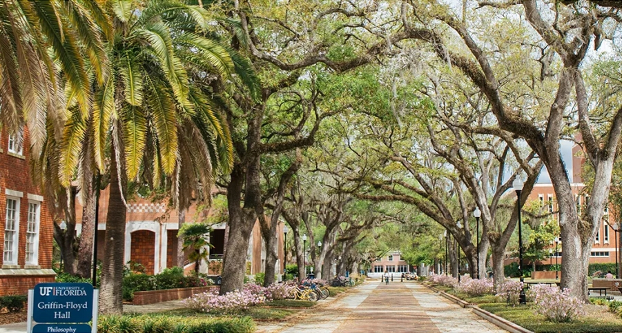 UF-CAMPUS